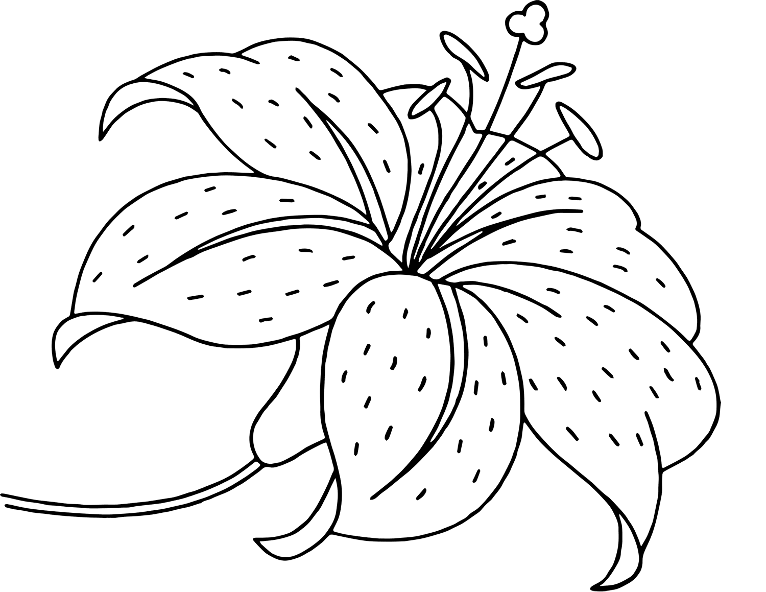 Hình ảnh Vẽ Bông Hoa Dễ Thương để Các Trang Tô Màu Phác Thảo Phim Hoạt Hình  Có Thể In được Vectơ PNG , Vẽ Hoa, Vẽ Xe, Vẽ Hoạt Hình PNG