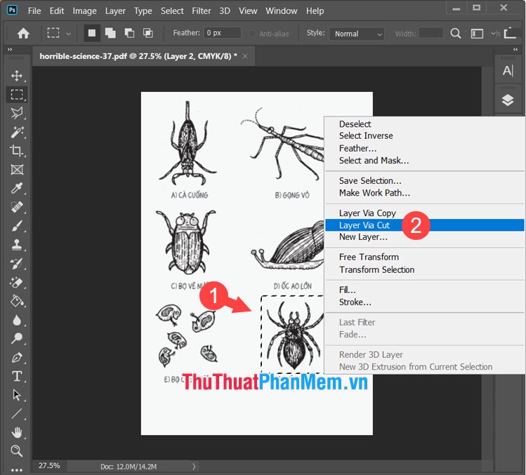 Bí quyết tách hình ảnh từ file PDF một cách nhanh chóng và đơn giản nhất (3 cách)