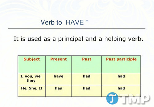 Thì Quá Khứ Của Have: Cách Chia Và Sử Dụng Đúng