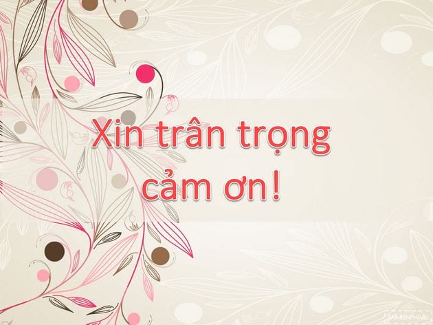 Bộ Sưu Tập Hình Nền Cảm Ơn Độc Đáo