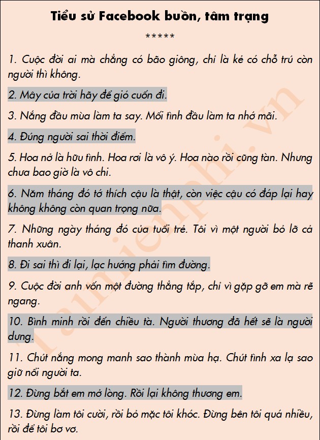 Những Bí Mật Đằng Sau Tiểu Sử Facebook: Sự Chất Chứa Của Câu Chuyện