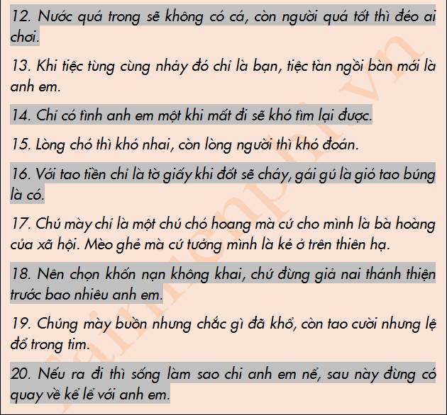 Những Bí Mật Đằng Sau Tiểu Sử Facebook: Sự Chất Chứa Của Câu Chuyện