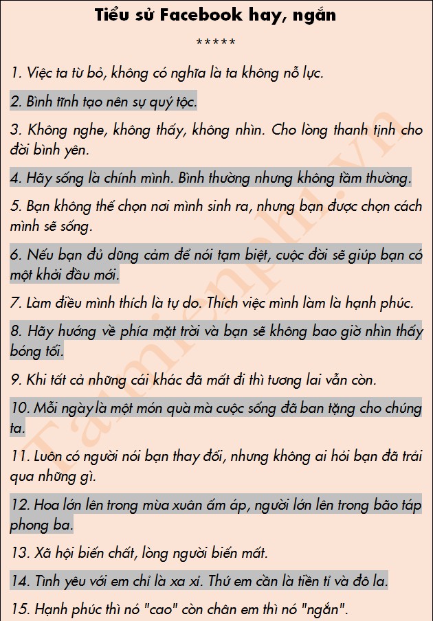 Những Bí Mật Đằng Sau Tiểu Sử Facebook: Sự Chất Chứa Của Câu Chuyện