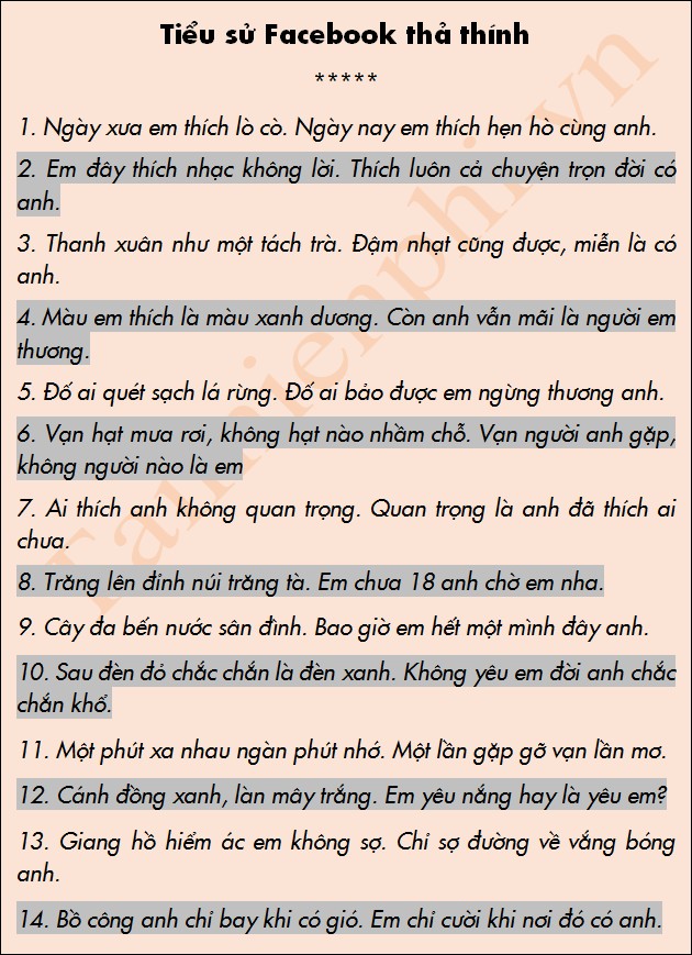 Những Bí Mật Đằng Sau Tiểu Sử Facebook: Sự Chất Chứa Của Câu Chuyện