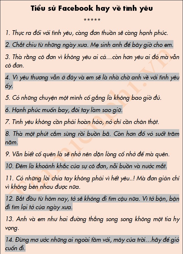 Những Bí Mật Đằng Sau Tiểu Sử Facebook: Sự Chất Chứa Của Câu Chuyện