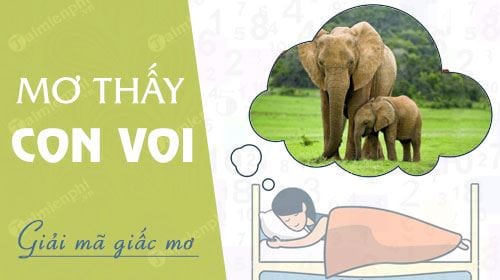 6. Thực hành và ví dụ minh họa