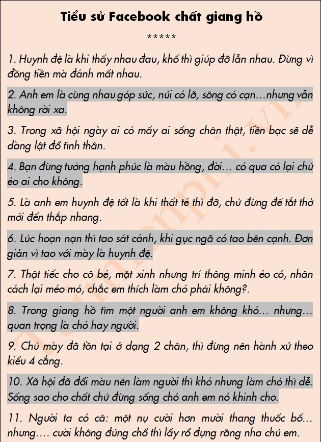 Những Bí Mật Đằng Sau Tiểu Sử Facebook: Sự Chất Chứa Của Câu Chuyện