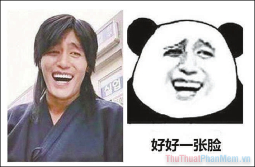 Đồng hành cùng bộ sưu tập meme gấu trúc Weibo hài bá đạo