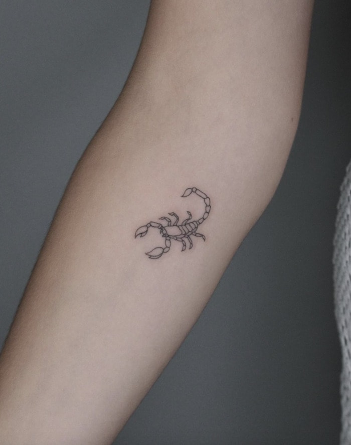 A unique scorpion tattoo design on back for ladies | Phụ nữ xăm hình, Hình  xăm, Hình xăm nam
