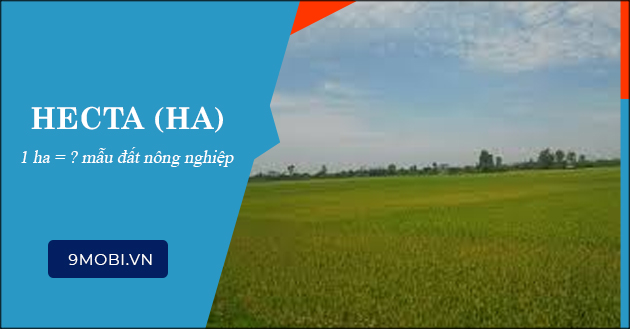 Cách đổi 1 hecta thành bao nhiêu mẫu đất, quy trình nhanh chóng và ...