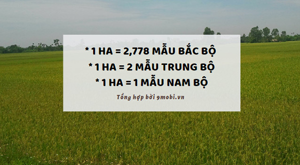 1 Hecta Bao Nhiêu Mẫu - Cách Quy Đổi Đơn Giản và Chính Xác Nhất