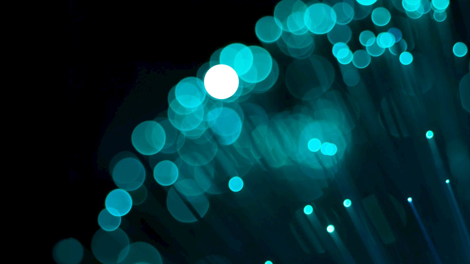 Nền vinh danh đẹp mắt