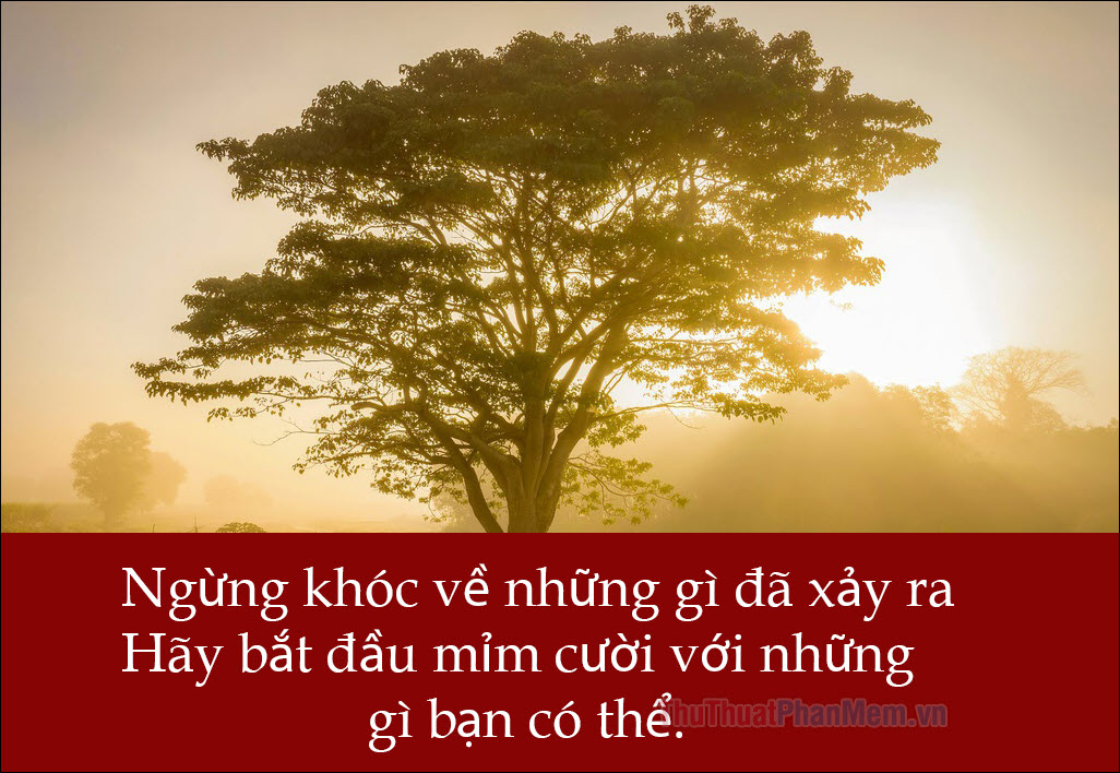 Dòng trạng thái tuyệt vời về tâm hồn buồn chán