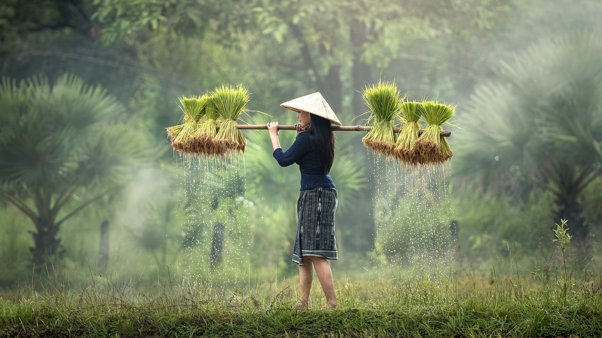 Việt Nam - Đẹp Như Trong Mơ