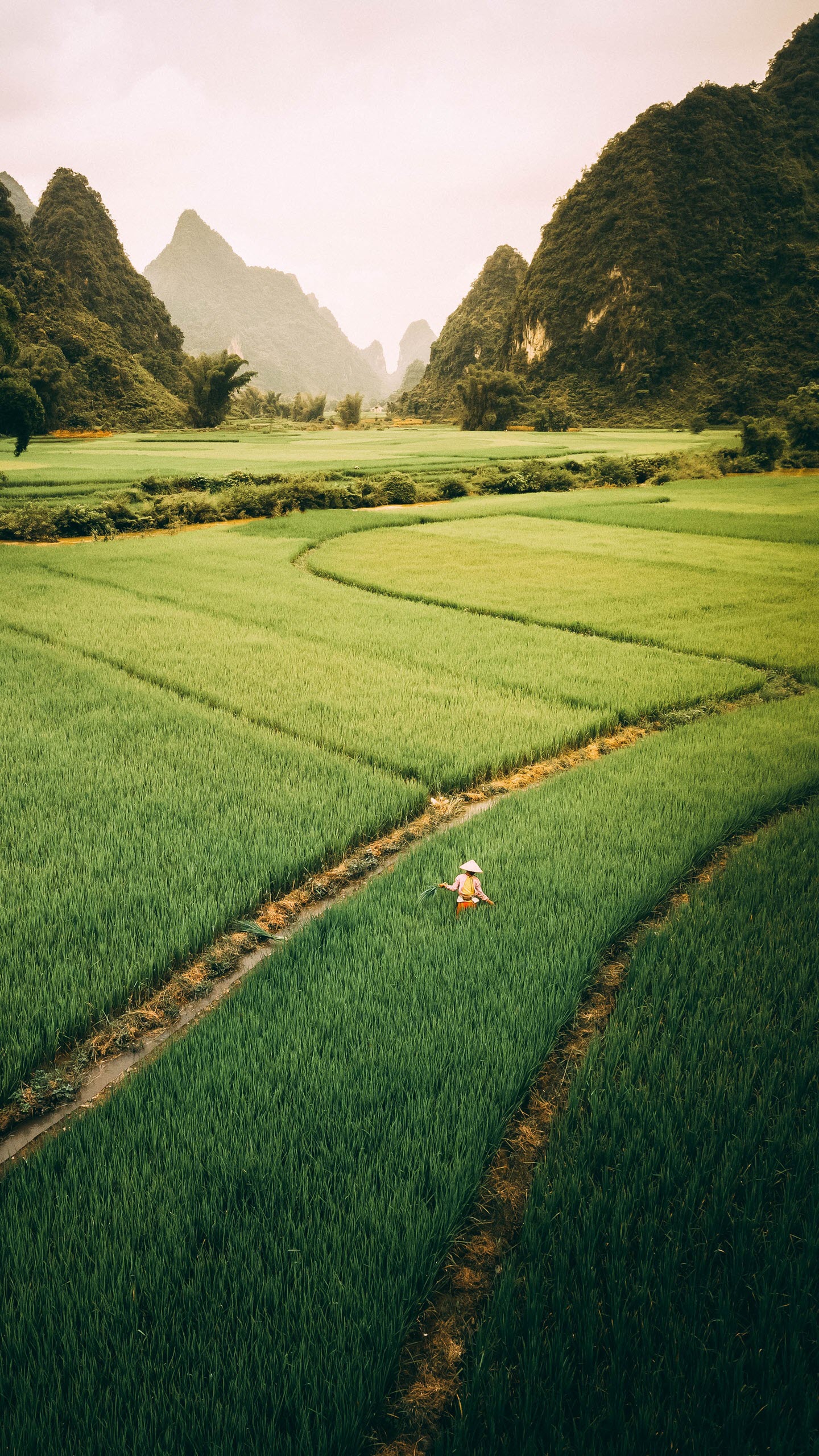 Việt Nam - Đẹp Như Trong Mơ