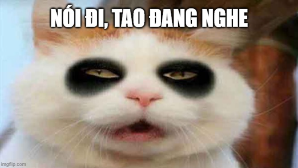 Bộ sưu tập meme mù mắt hài hước và độc đáo