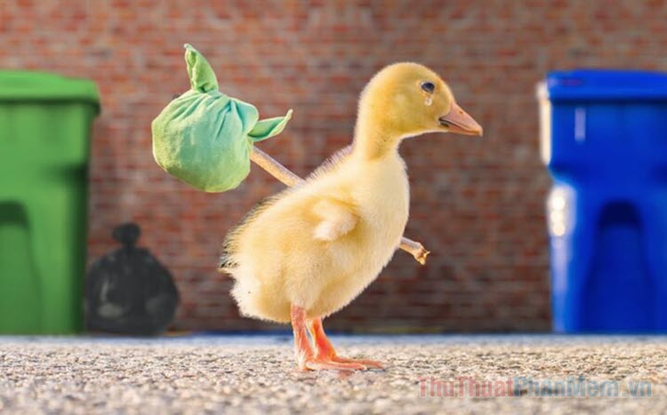 Vịt meme - Tổng hợp những hình ảnh vịt vui nhộn, đáng yêu, và sáng tạo