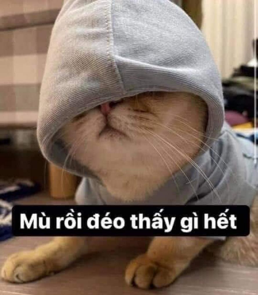 Bộ sưu tập meme mù mắt hài hước và độc đáo