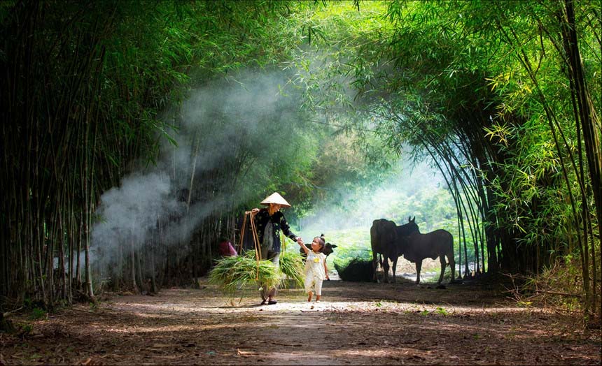 Ảnh đẹp: Hòa mình vào Vẻ đẹp của Làng Quê Việt Nam - Bộ sưu tập hình ảnh tuyệt vời