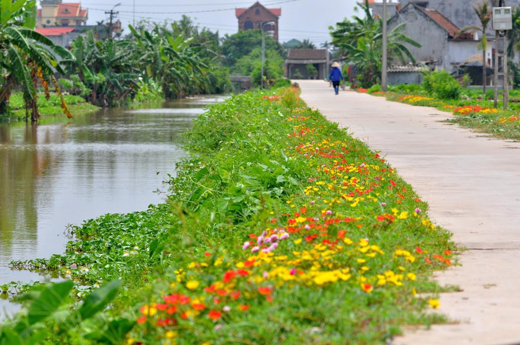 Ảnh đẹp: Hòa mình vào Vẻ đẹp của Làng Quê Việt Nam - Bộ sưu tập hình ảnh tuyệt vời