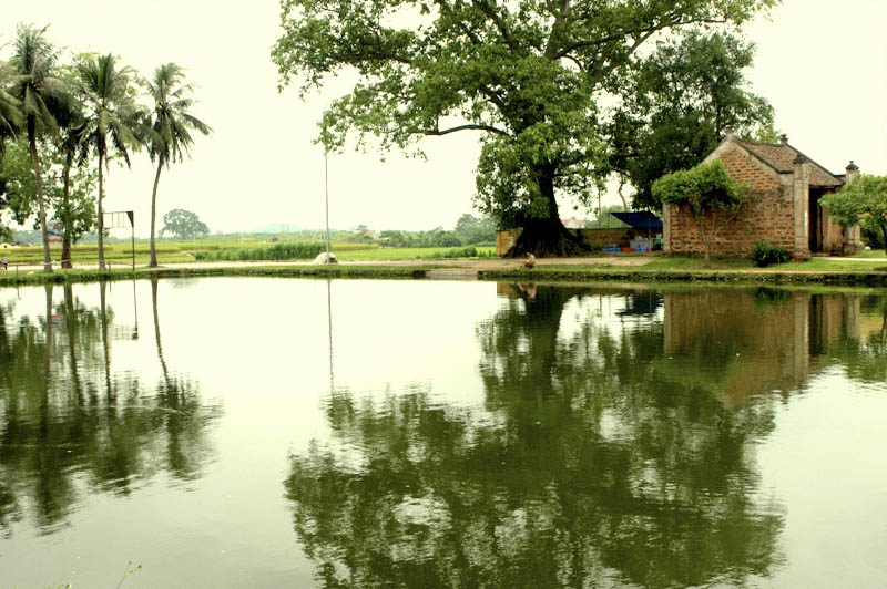 Ảnh đẹp: Hòa mình vào Vẻ đẹp của Làng Quê Việt Nam - Bộ sưu tập hình ảnh tuyệt vời