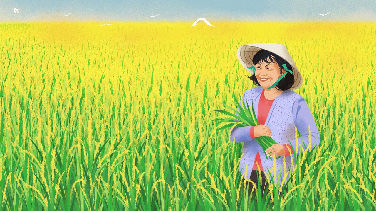 Bức tranh tuyệt vời về vẻ đẹp của cánh đồng lúa - Tổng hợp những hình ảnh đẹp nhất về cánh đồng lúa