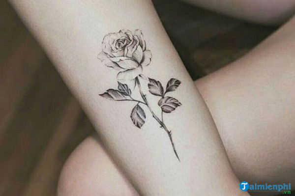 Khám phá vẻ đẹp của hình xăm chân mini dành cho cả nam và nữ.