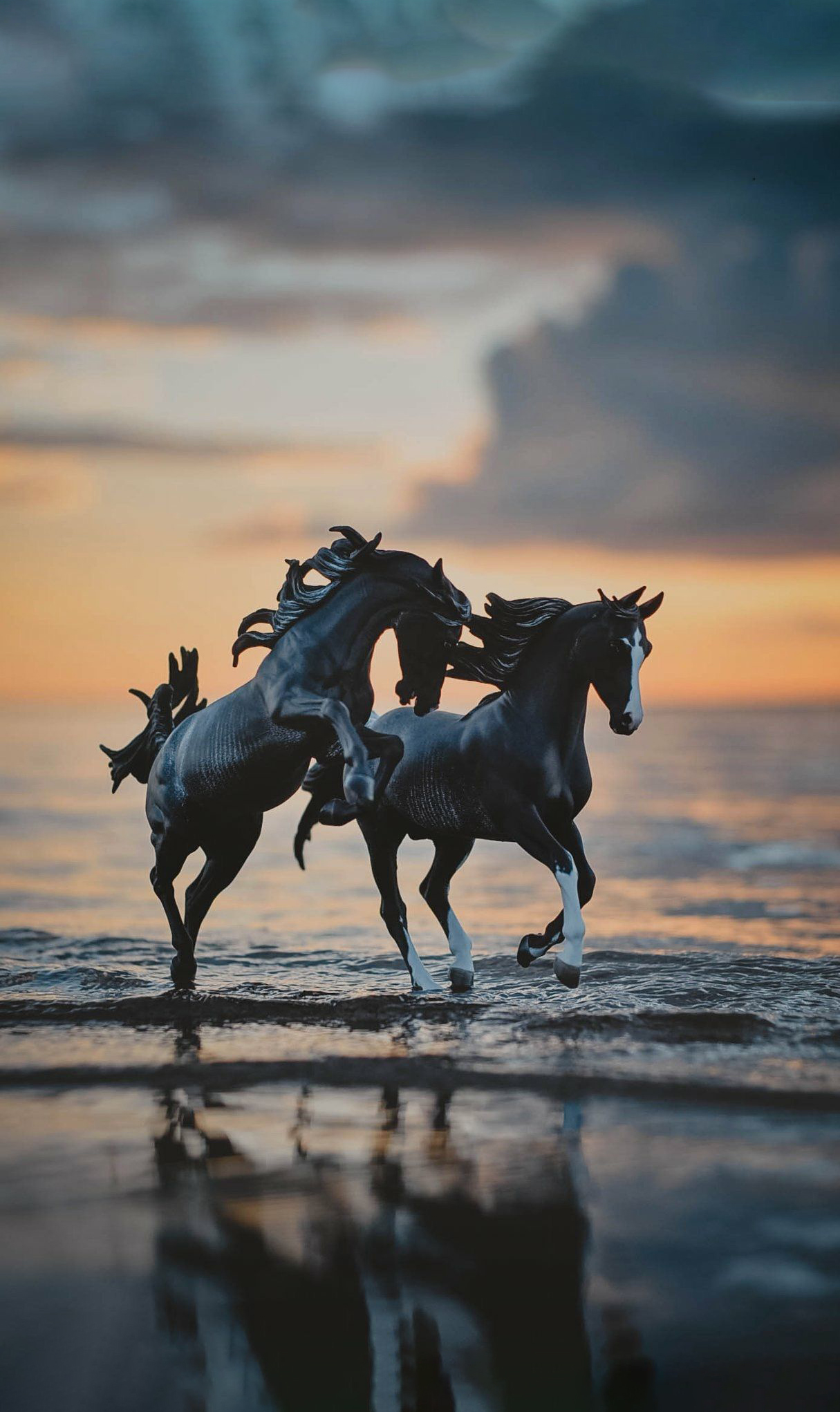 Hình nền : ngựa, đang chạy, Bầu trời, sóng biển 1920x1200 - goodfon -  669412 - Hình nền đẹp hd - WallHere