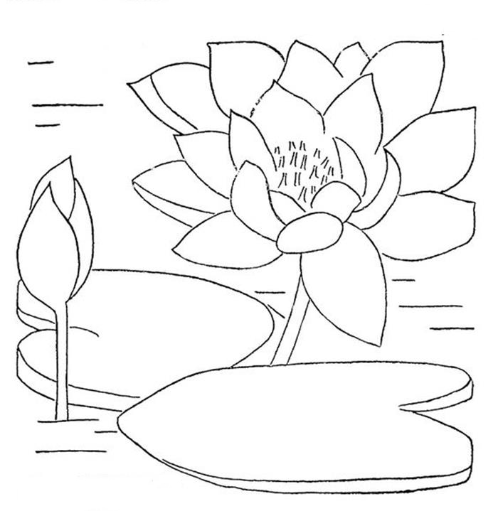 Cách vẽ hoa sen bằng màu nước / How to draw watercolor lotus - YouTube