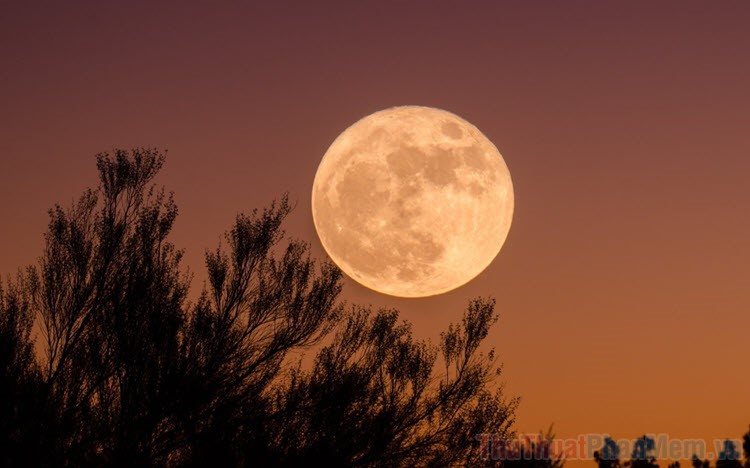 Tổng hợp hình ảnh Mặt Trăng đẹp nhất | Hình ảnh, Mặt trăng, Ánh trăng