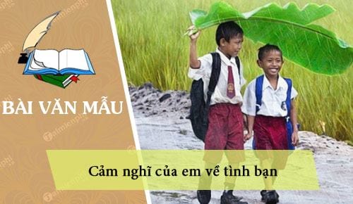 Nêu Suy Nghĩ Của Em Về Tình Bạn: Khám Phá Ý Nghĩa và Giá Trị Đích Thực