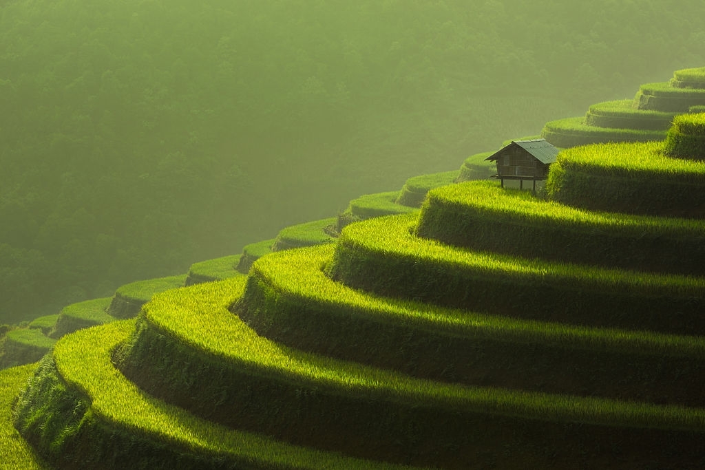 Ruộng bậc thang – một dấu ấn tuyệt đẹp trên rẻo cao của Việt Nam