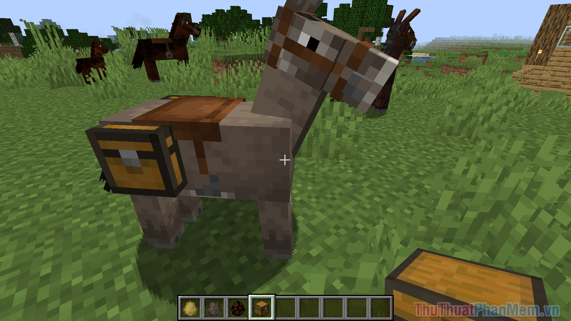 Phương pháp săn Yên Ngựa trong Minecraft