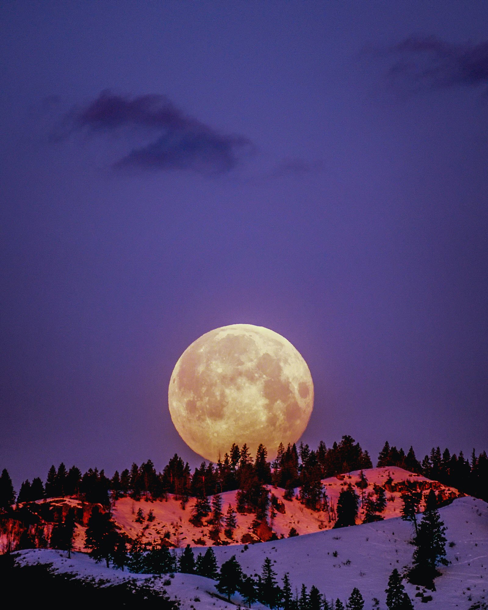 Hình nền động đêm trăng tròn | Hình nền, Phong cảnh, Hình ảnh