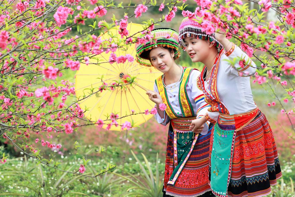 Hòa mình trong sắc xuân - Hình ảnh tuyệt vời của Hoa Đào ngày Tết