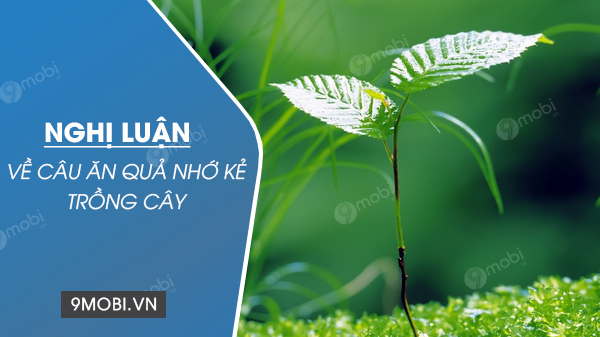 Ăn Quả Nhớ Kẻ Trồng Cây An Khoai Nhớ Kẻ - Bài Học Về Lòng Biết Ơn