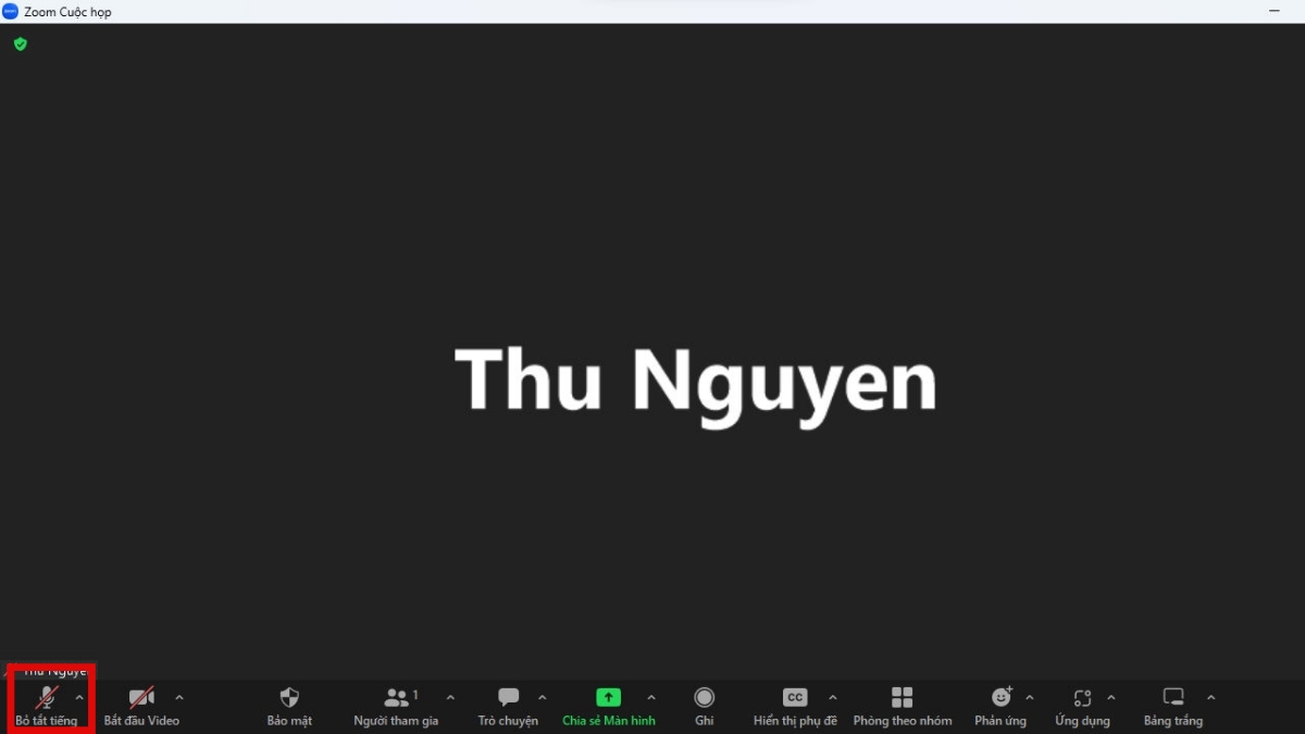 Guide on muting your mic during Zoom Meetings