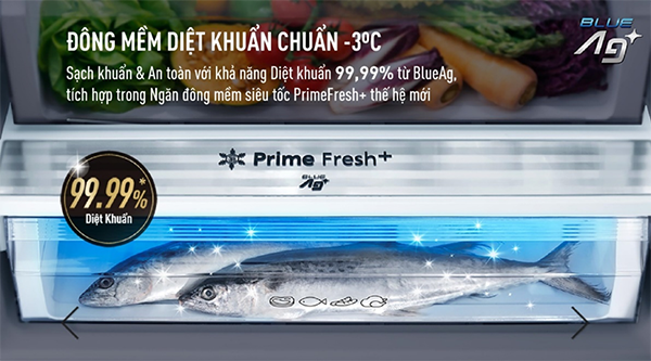 Revolutionary Food Preservation Technologies by Panasonic Refrigerators