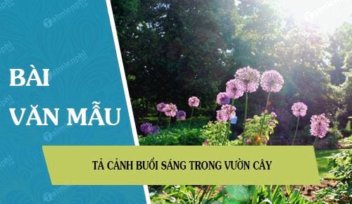 Bài Văn Tả Cảnh Buổi Sáng Sớm: Khám Phá Vẻ Đẹp Thiên Nhiên Mỗi Ngày