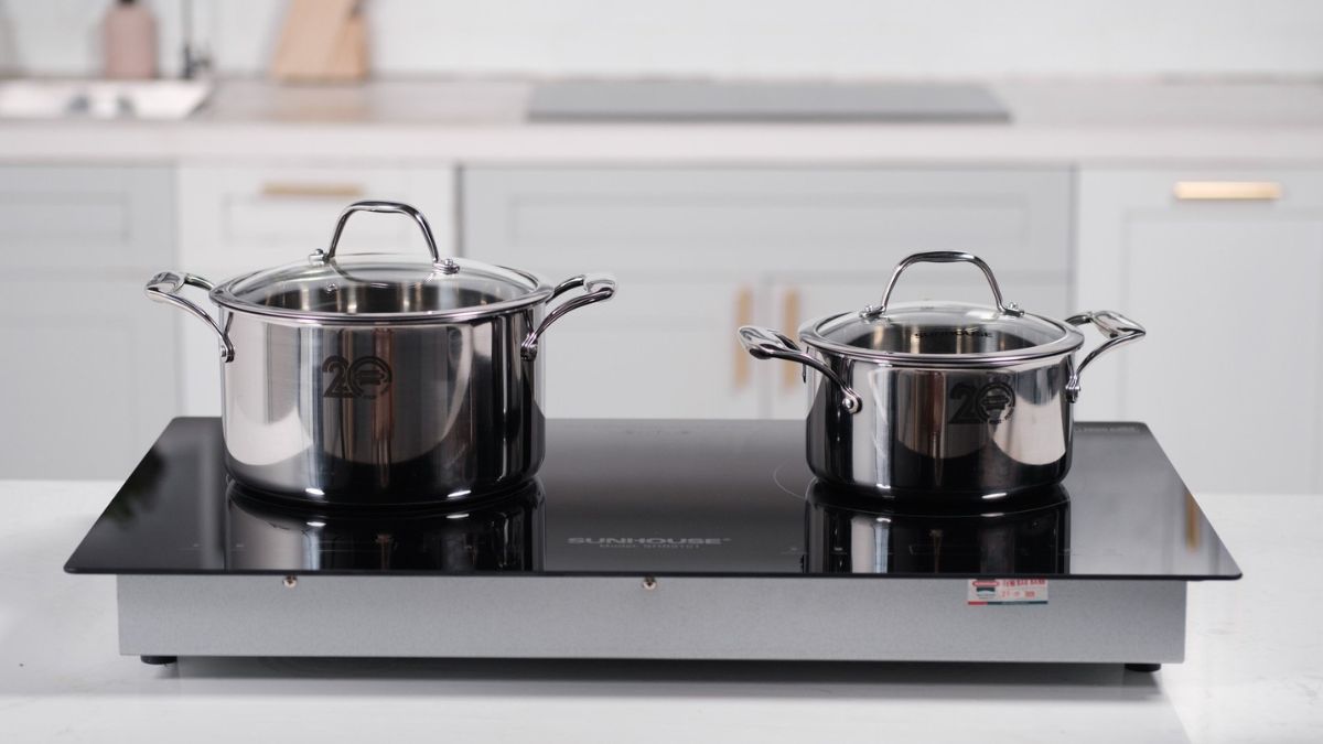 Sunhouse Induction Cooktops Review Which Ones Are the Best to Buy?