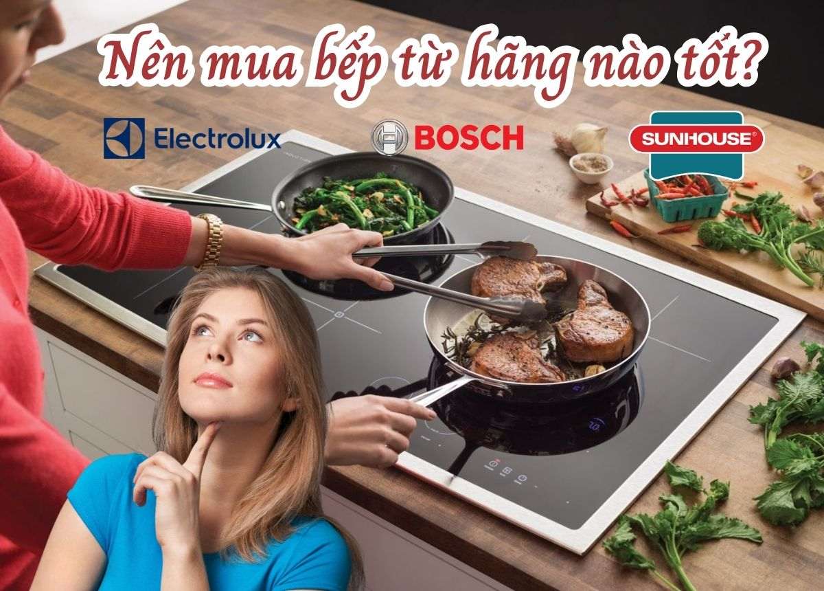 Discover the Top 10 Best Induction Cooker Brands in 2023 How24h's Picks