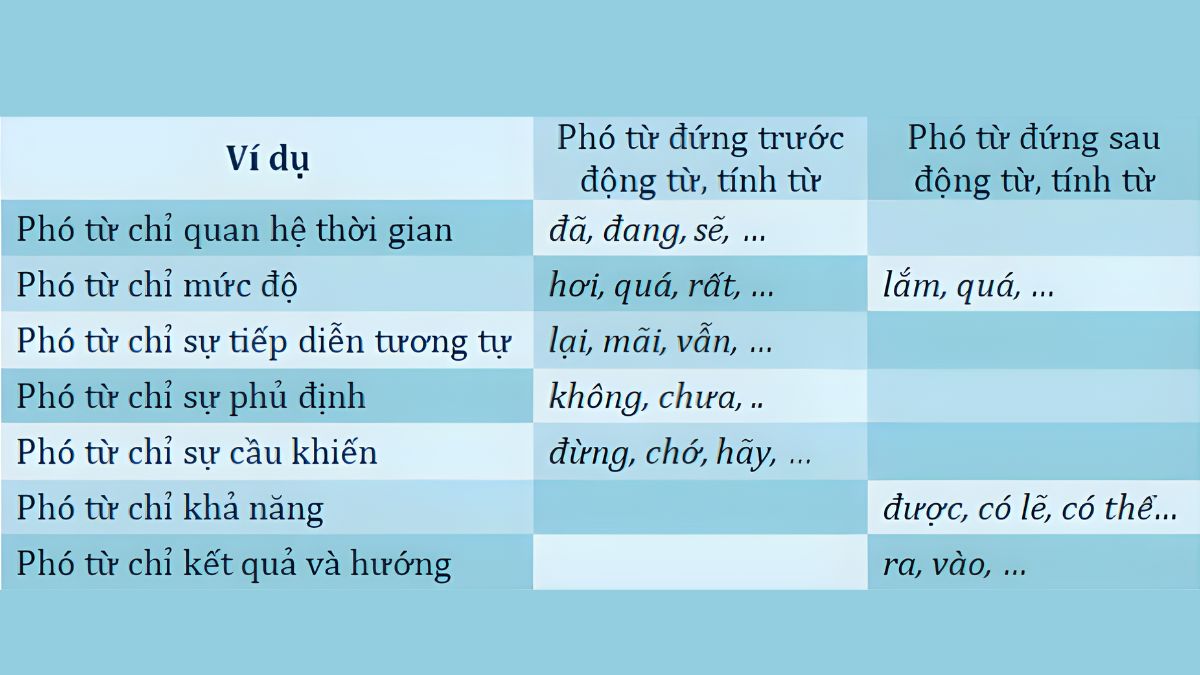 Cách dùng Phó từ trong câu