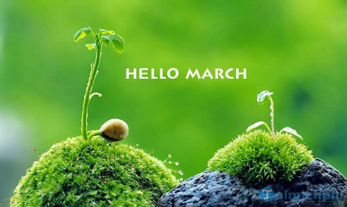Synthesis of March status updates, inspiring quotes for March
