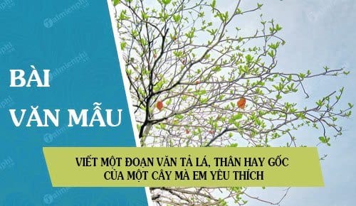 Bài Văn Tả Lá Cây Lớp 4 - Hướng Dẫn Chi Tiết Và Các Bài Văn Mẫu Hay Nhất