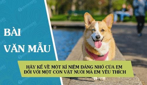 Kể Về Kỉ Niệm Đáng Nhớ Của Em - Những Câu Chuyện Ý Nghĩa và Sâu Sắc