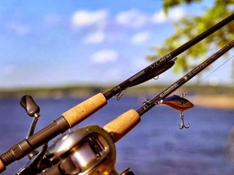 Top 8 Best Fishing Rod Brands Today 