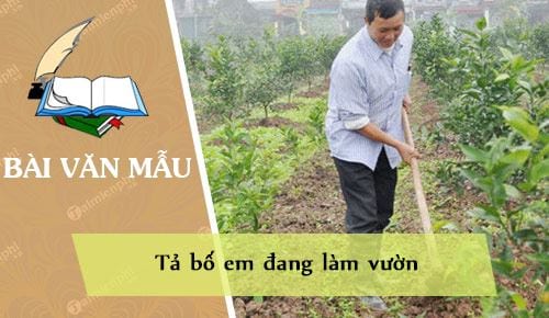 Bài văn tả bố đang làm vườn - Khám phá vẻ đẹp của lao động