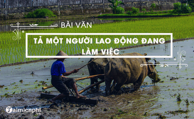 Bài văn tả cô giáo đang làm việc - Hình ảnh người lái đò cần mẫn