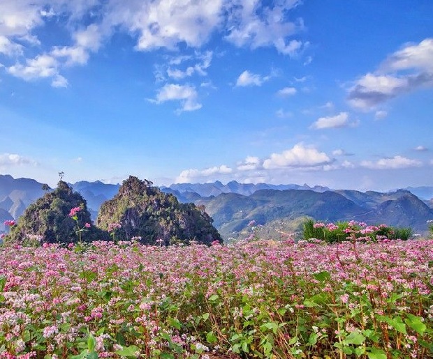 Bản đồ du lịch Hà Giang mới và tỉ mỉ nhất dành cho du khách