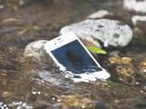 What to do if your phone falls into water?